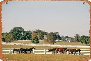 ASIOADWNA Metal Sign - 1990S Group Of Horses Beside White Pasture Fence by Vintage PI Poster Wall Decor Design for Cafes Bar Pub Beer Club Wall Home Decor 8x12 inch